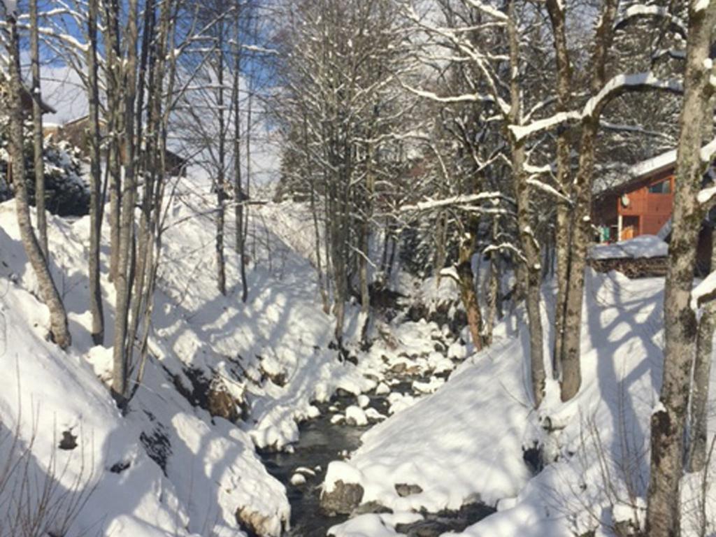Magnificent Chalet On The Mountain Slopes Les Gets Eksteriør bilde